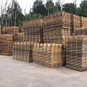 Palettes en bois pour l'exportation Construction fiable utilisant du bois de première qualité Sûr pour le fret international - Product Image 5