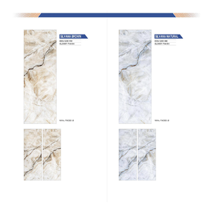 Azulejos de Porcelana Cerámica de Diseño Moderno, 600x1200 mm, Superficie Homogénea de Cuerpo Completo, 8 mm de Grosor, para Uso en Apartamentos - Product Image 1