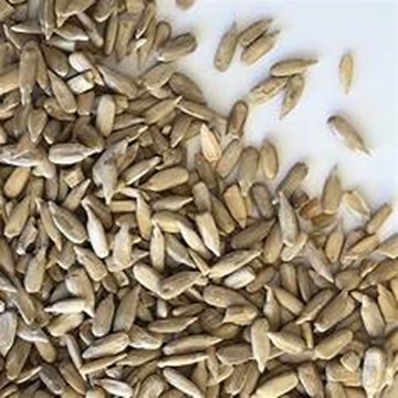 Здоровые натуральные органические семена подсолнечника доступны по конкурентоспособным ценам