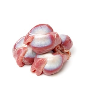 Gizzards de Pollo Congelados al por Mayor - Gizzards de Pollo Premium al por Mayor - Product Image 5