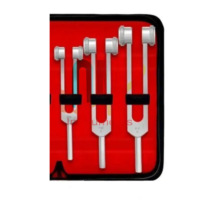 Diapasons chirurgicaux ORL en acier inoxydable de qualité médicale, stérilisables, réutilisables, autoclavables, de qualité supérieure, norme allemande, 7 pièces