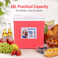 Glacière portable de camping 16L, boîte de rangement pour aliments et boissons en plein air, glacière pour pique-nique