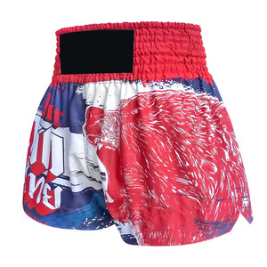 Best Selling Comfortable Custom Logo Silk <b>Polyester</b> Quick Dry Breathable Boxing <b>Shorts</b> For Plus Size Adults Premium Design Wear - Product Image 5