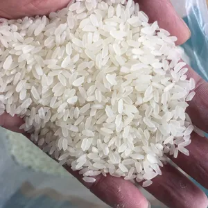 Medium Rice for Egyptian market Packed in Jumbo Bag ( Whatsapp: Mr Daivd 0084986778999)