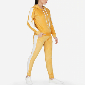 2025 mejor precio personalizado señoras invierno Slim Fit Fitness pulóver sudaderas con capucha conjunto de pantalones 100% chándales de terciopelo de Invierno para mujer - Product Image 2
