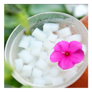 ราคาที่ดีที่สุด100% มะพร้าวเจลลี่ Nata de COCO: ท็อปปิ้งที่ง่ายต่อการใช้จากก้อนมะพร้าวสดขนมผลไม้เมืองร้อน - Product Image 4