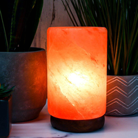 Lampe en sel de cristal naturel de l'Himalaya en forme de cylindre, diffuseur d'huiles essentielles, coupelle en acier inoxydable, aromathérapie, spa, massage corporel, Numkyne