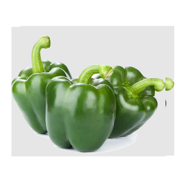 Best Selling Original Supplier Green Bell Pepper Fresh Preserved Vegetable Product-Capsicum for sale