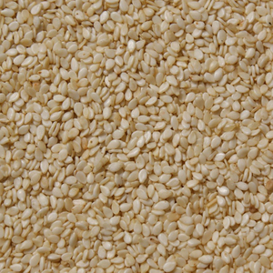 เมล็ดงาธรรมชาติเกรดอาหารเมล็ดงาแบบพรีเมี่ยมสำหรับปลูกในฟาร์ม2025 - Product Image 5