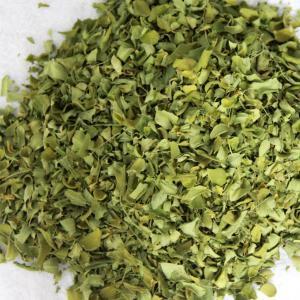 Poudre de feuilles de Moringa séchées de qualité supérieure, ingrédient pour le thé, vente en gros - Product Image 5
