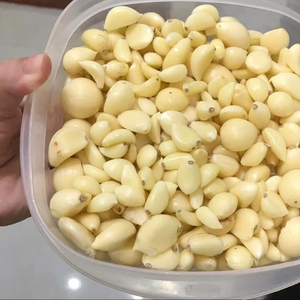 AJO CONGELADO DE GRADO SUPERIOR DE VIETNAM-SUMINISTRO AL POR MAYOR CON SABOR NATURAL Y BENEFICIOS PARA LA SALUD - Product Image 2