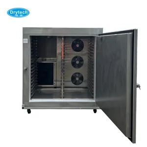 CE Certification mushroom dehydrator fruit drying plant drying tomatoes slices dryer machine