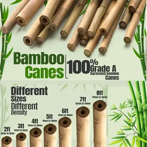 Bambu Stakes bambu direk bambu kamışı ucuz fiyat Vietnam tedarikçisi