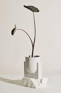 Jardinière en marbre à finition élégante pour la décoration intérieure de bureau, ajoutant un air calme et un aspect pierre de qualité supérieure - Product Image 6