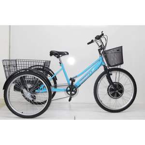 Dorello L22 Model 48 Volt Electric <b>Tricycle</b> Cargo Transporter with Battery Powered Bike Electric Features - Product Image 1
