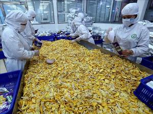 VF Mélange de fruits secs biologiques Snack Croustillants Chips de patates douces biologiques Jacquier Carotte Banane 99 Golde Data Emballage en vrac - Product Image 4