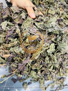 ใบงาดำแห้งสีม่วงแบบต่างๆทนทาน - Product Image 4