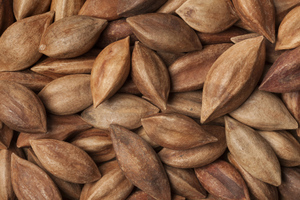Premium Quality Pili Nuts Fresh Stock Wholesale Bulk Supply For <b>Confectionery</b> And Snack Food Industry For Sale - Product Image 6