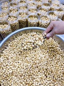 Tuerca de loto seca de alta calidad de exportación superior del proveedor auténtico a precio competitivo - Product Image 4