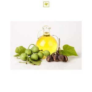 Huile de graines de Jatropha raffinée de qualité alimentaire en vrac à prix d'usine pour la cuisson, fractionnée, à vendre - Product Image 6