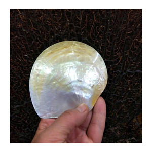 Cuillère et assiette en nacre artisanale, plat parfait pour le savon et le caviar, assiette en nacre pour un intérieur unique - Product Image 6