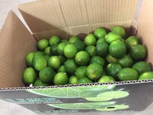 Lima fresca sin semillas Origen de Vietnam | Lima verde de alta calidad para exportación | Precio al por mayor de proveedor certificado - Product Image 4