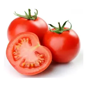Migliore qualità a basso prezzo Stock di massa disponibile di pomodori freschi congelati pomodori freschi ciliegia per l'esportazione in tutto il mondo