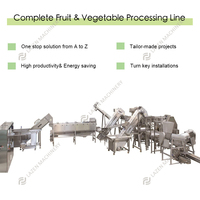 1 ~ 60 Ton Per Uur Industriële Hoogwaardige Aardbeienpulpverwerkingsmachine Productielijn Aardbeienverwerkingsmachines