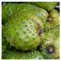 Hele Zuurzak Fruit