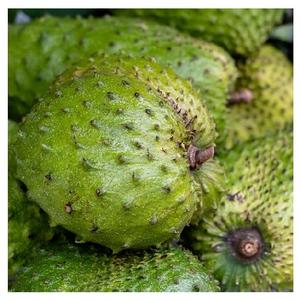 Fruit de corossol entier - Product Image 3