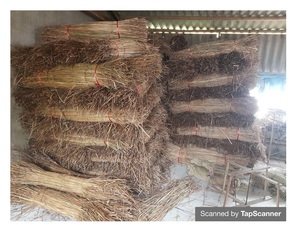 Nouveau produit Panneaux de toit de chaume tropicale écologique pour la décoration en provenance du Vietnam - Product Image 5