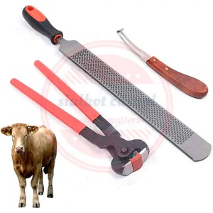 Professional Farrier Tools High Quality Stainless Steel Material Durable <b>Veterinary</b> <b>Instrument</b> - Product Image 2