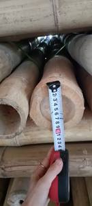 Postes de bambú redondos para decoración del hogar, jardín y proyectos al aire libre - Product Image 5