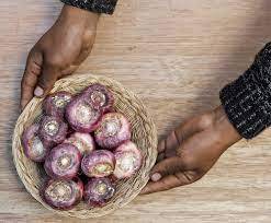 Maca al por mayor Premium - Product Image 6