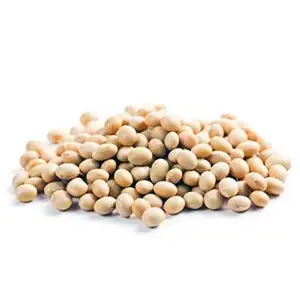 Soybeans / High Quality Non GMO Yellow Dry Soybean Seed / NON-GMO Soya Beans