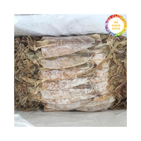 Calmar du Vietnam transformé en calmar séché, adapté à la cuisson et à la distribution de produits de la mer