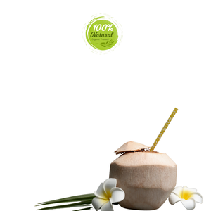Noix de coco pelée au diamant Produit agricole populaire pour les festivals d'été - Product Image 5