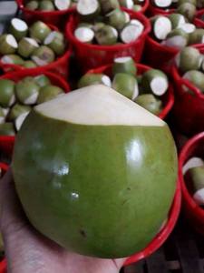 Frutas Frescas al por Mayor de Vietnam, Cocos Jóvenes Frescos, Cocos Raspados Tipo Diamante, Mejor Precio - Product Image 1