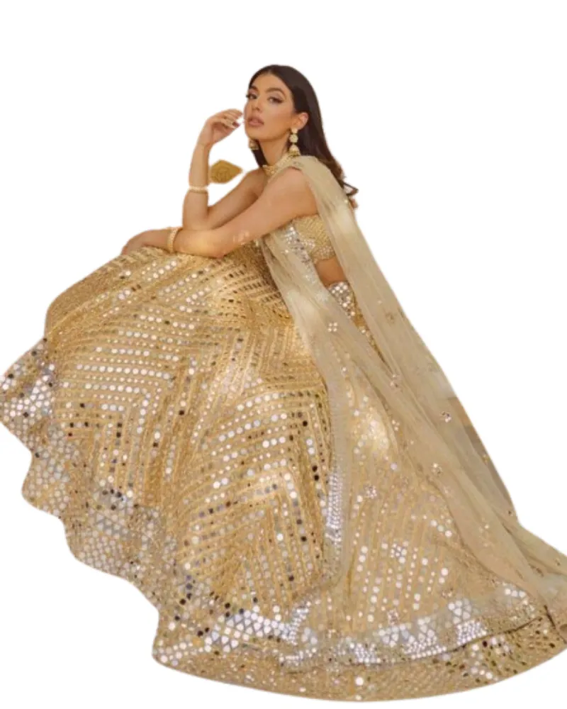 Indian Traditional premium Lehnga Choli for Wedding party wear lehenga Choli for Women from Surat India Wholesale