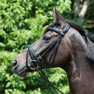 Brida de cuero Caballo Ecuestre Cuero Innovadora Brida con una combinación de Cruz y Flash Noseband Personalización disponible - Product Image 2