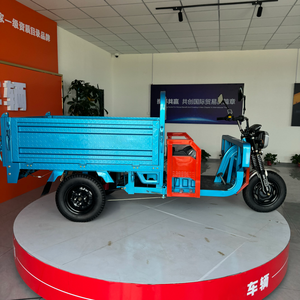 Triciclo Eléctrico de Alta Calidad para Transporte de Pasajeros en Sudáfrica e <span class=keywords><strong>India</strong></span>, Triciclo Eléctrico de 3 Ruedas para Viajes Urbanos para Adultos - Product Image 5