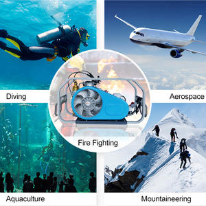 <span class=keywords><strong>Compresseur</strong></span> d'air portable haute pression pour plongée sous-marine <span class=keywords><strong>300</strong></span> <span class=keywords><strong>bars</strong></span> 4500 psi GDR-320E - Product Image 1