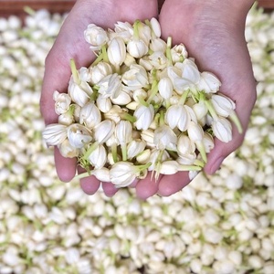 Fleurs de jasmin séchées de qualité supérieure parfaites pour les amateurs de thé et les remèdes naturels - Product Image 2