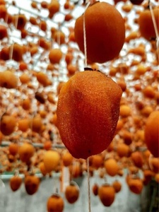 Fruits de kaki séchés sous vide en vrac de haute qualité/kaki séché sous vide bon prix pour l'exportation - Product Image 6