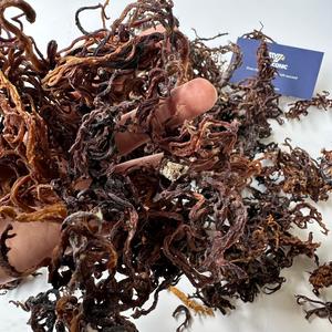 Mousses marines violettes séchées en gros, Eucheuma Cottonii, culture courante, AD Vietnam, algues marines en sac, approvisionnement en vrac, alimentation, cosmétiques, ANNA DO - Product Image 3