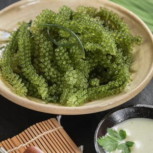 Raisins de mer nutritifs frais pas cher prix naturel seeweed de raisin en gros caviar vert umibudo lato algues du Vietnam - Product Image 6