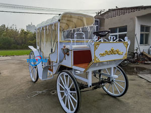Prix d'usine bon marché OEM chariot de mandrin citrouille électrique 6 places sans chevaux <span class=keywords><strong>wagon</strong></span> électrique de tourisme - Product Image 5