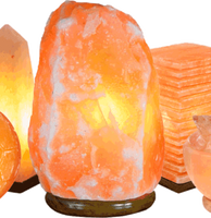 Lampe à sel naturel de l'Himalaya Mini Desk Himalaya Salt Rock Smart Dimmable Cord Lamp Spa Yoga Night Light