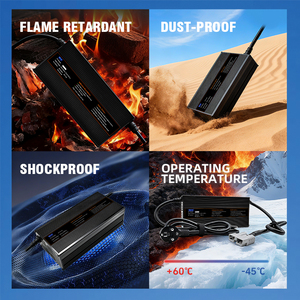 Cargador Rápido de 800W 60V 10A LiFePO4 para Vehículos Eléctricos de Tres Ruedas con Resistencia al Agua IP34 y Apagado Automático - Product Image 6