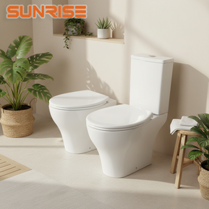 Inodoro <span class=keywords><strong>de</strong></span> Cerámica con Descarga Tornado <span class=keywords><strong>de</strong></span> Ahorro <span class=keywords><strong>de</strong></span> Agua, Diseño Europeo, Compatible con OEM y ODM, Certificado CE y UPC, Fábrica con Certificación ISO 9001 - Product Image 1